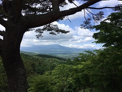 富士忍野高原トレイルレース