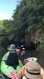 石垣島 (宮良川のマングローブをカヌーで川下り)