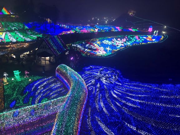 東京ドイツ村 ウィンターイルミネーション