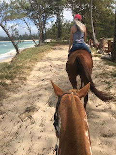 オアフ島 ノースショア ビーチ沿いで乗馬