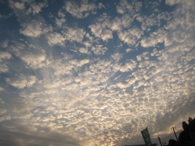 空(sora) 写真2